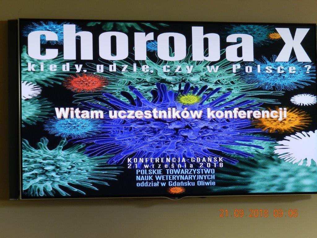 Dokumentacja fotograficzna z Konferencji ,, Choroba X 